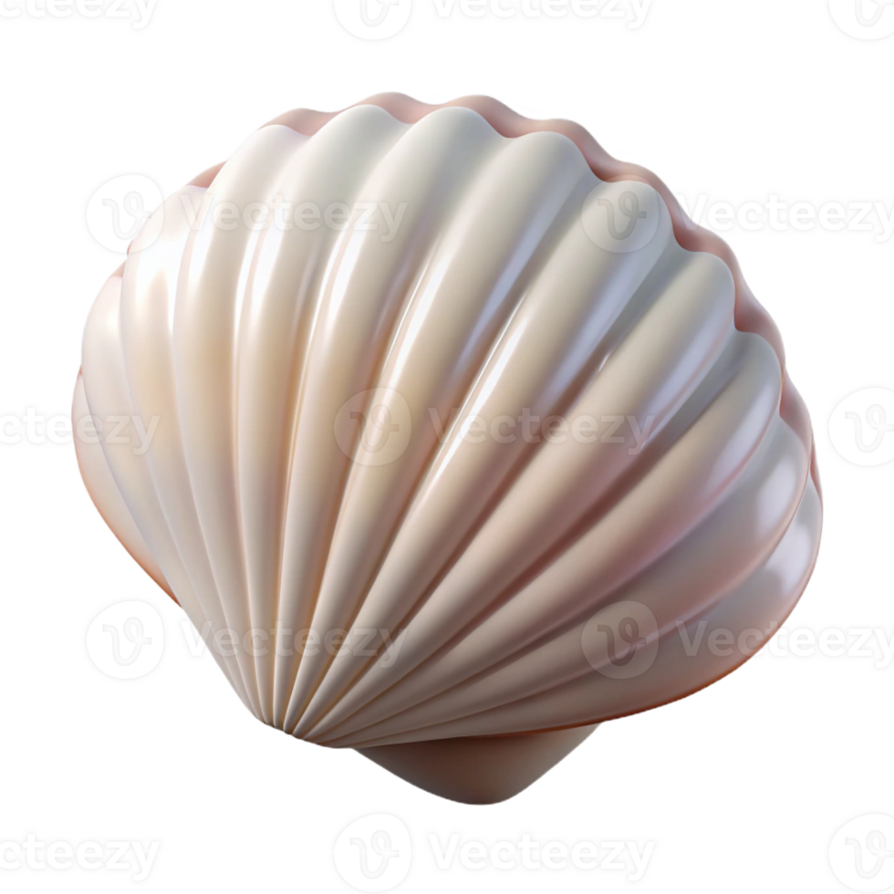 dramatic minimalist A single, perfect seashell on white sand, soft lighting, minimalist, beach photography, professional png
