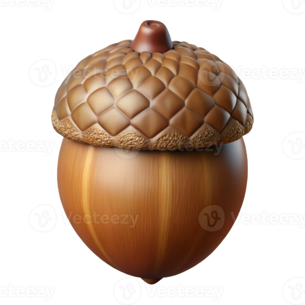 elegant vintage A single, perfect acorn, detailed texture, autumnal, still life photography, genuine png