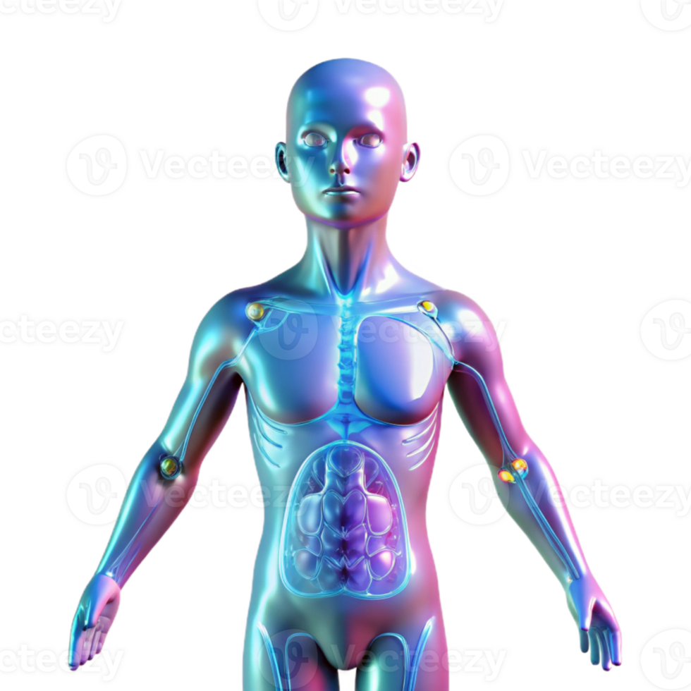 magnificent traditional A holographic projection of a human body with anatomical details, medical illustration style, soft blue lighting authentic png