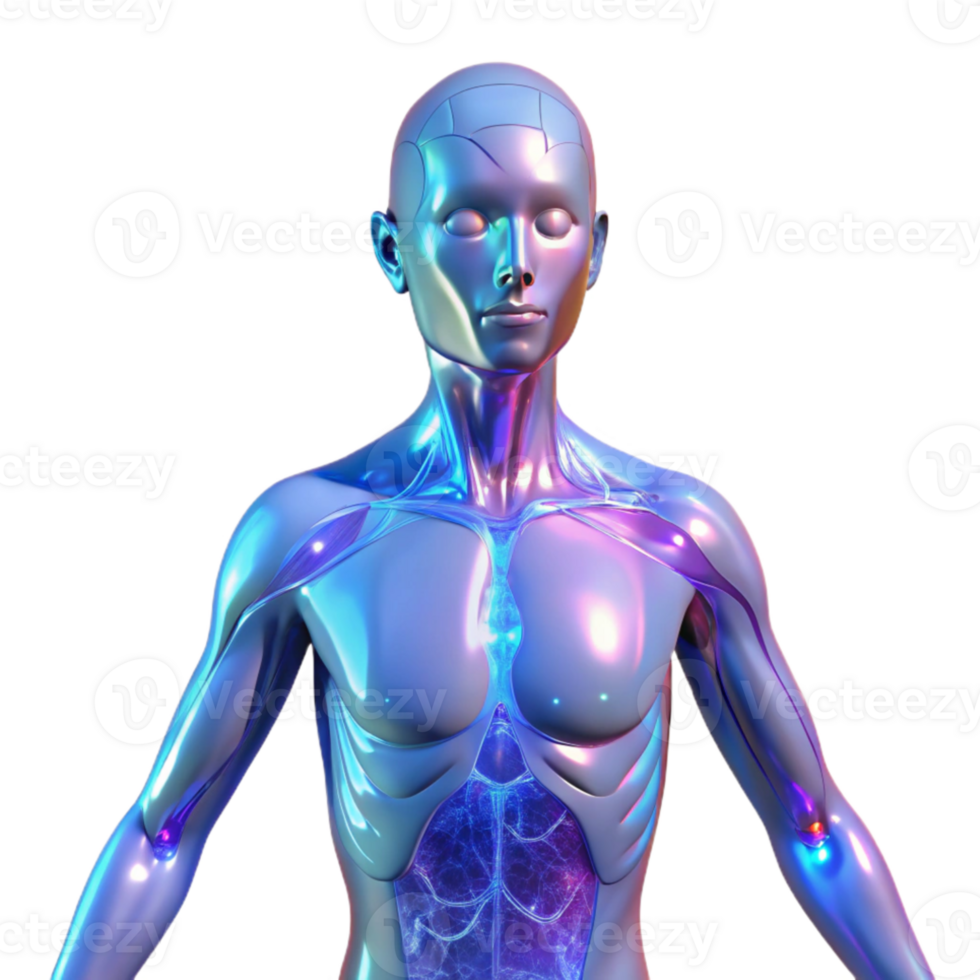 extraordinary rustic A holographic projection of a human body with anatomical details, medical illustration style, soft blue lighting high quality png