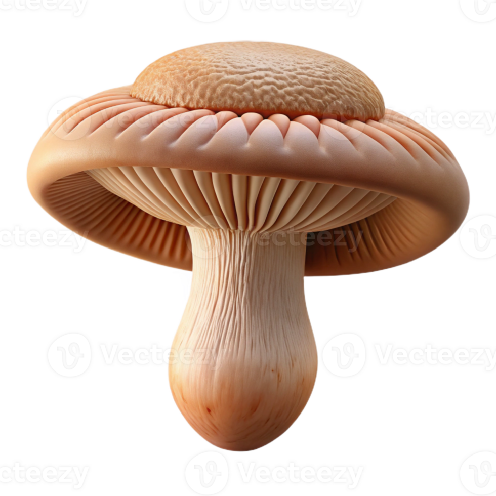 wonderful modern A close-up of a mushroom cap, intricate gills, earthy and natural 4K png