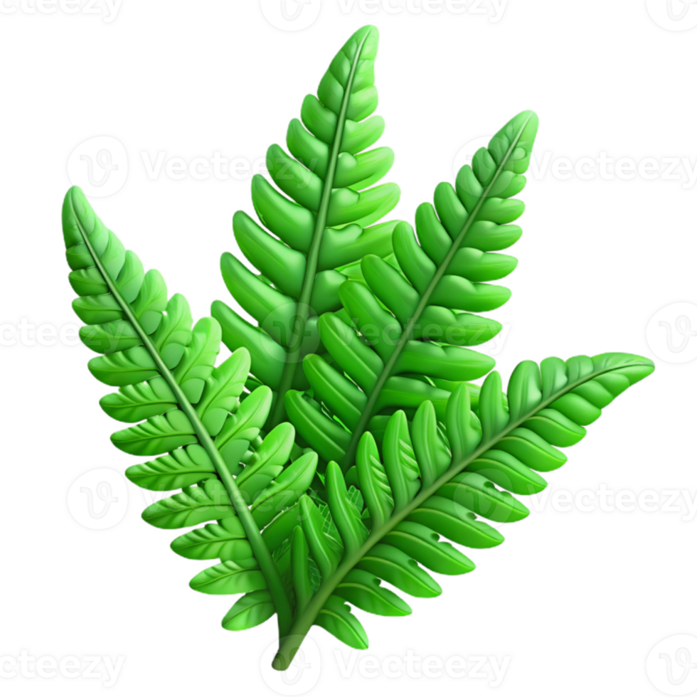 stunning minimalist A lush green fern, intricate details, botanical illustration style, soft lighting 4K png