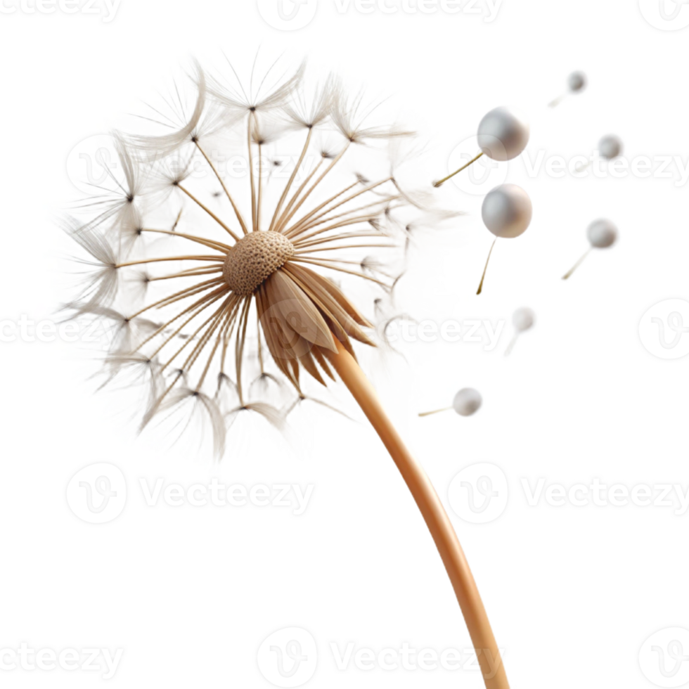 beautiful modern A single dandelion seed head with seeds blowing in the wind, delicate details, soft lighting, nature photography style exclusive png