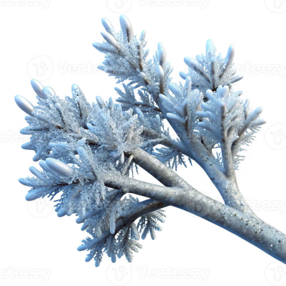 vibrant rustic A branch covered in frost, intricate ice crystals, winter morning light, nature photography style 4K png