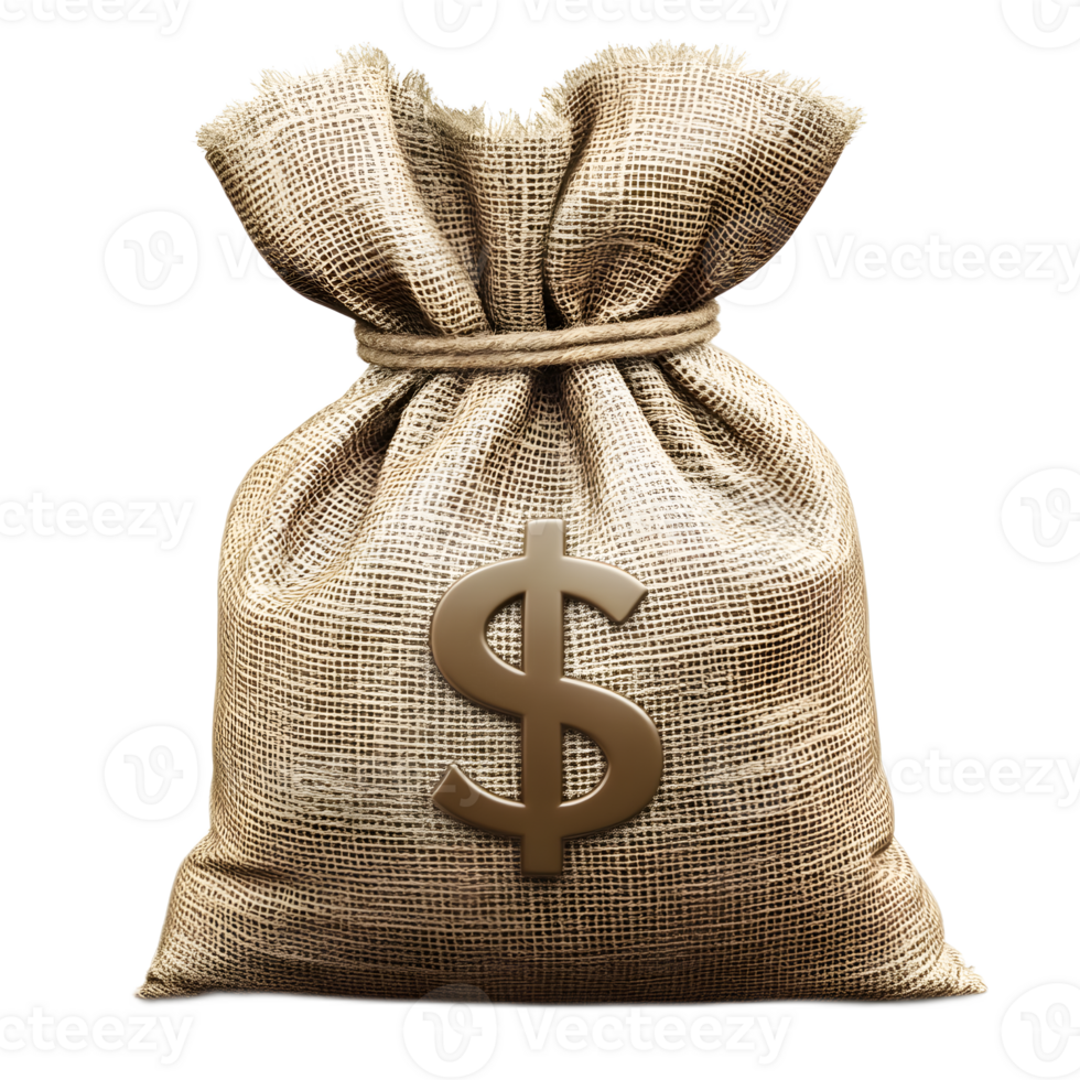 Digitally Rendered 3D Money Bag Isolated on White Background png
