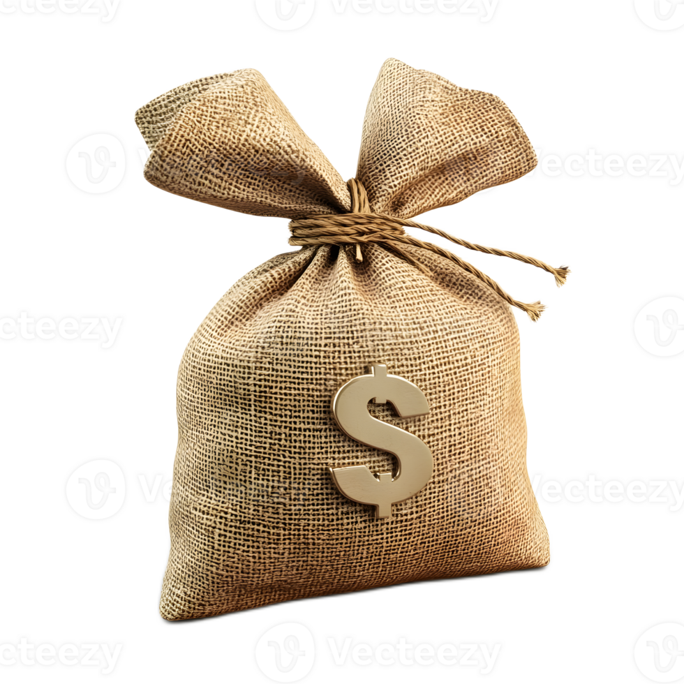 Money Bag Isolated on White Background in 3D Render png