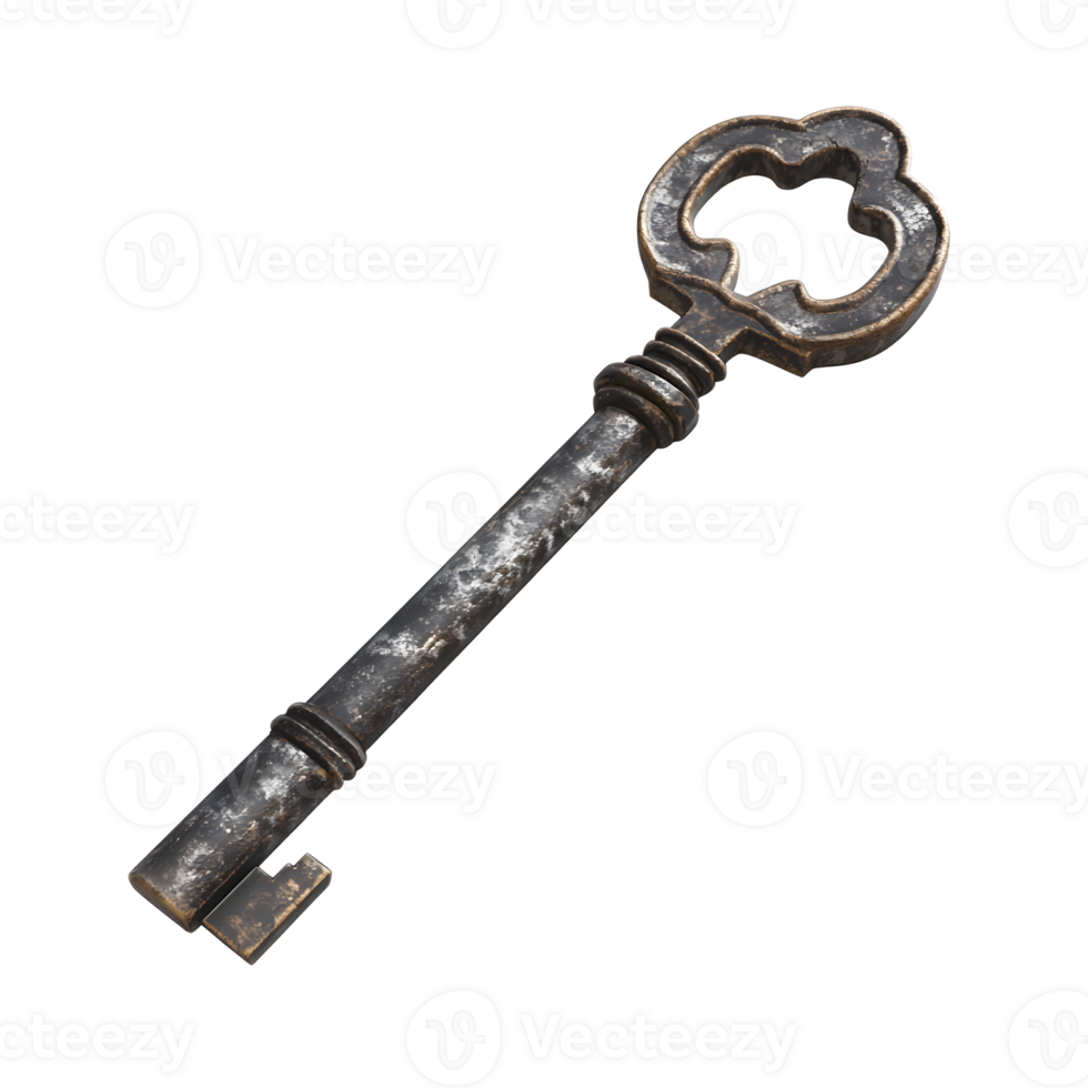 Vintage Ornate Metal Key on White Background png