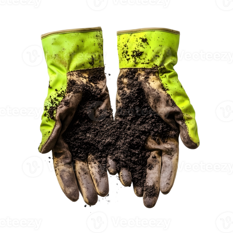 Worn Gardening Gloves Covered in Rich Soil Ready for Planting and Cultivation Tasks png