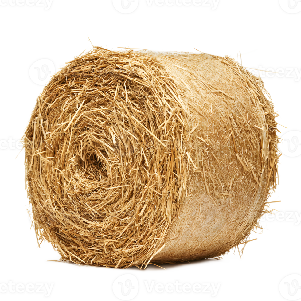 Bale of Straw in Agricultural Countryside Landscape png