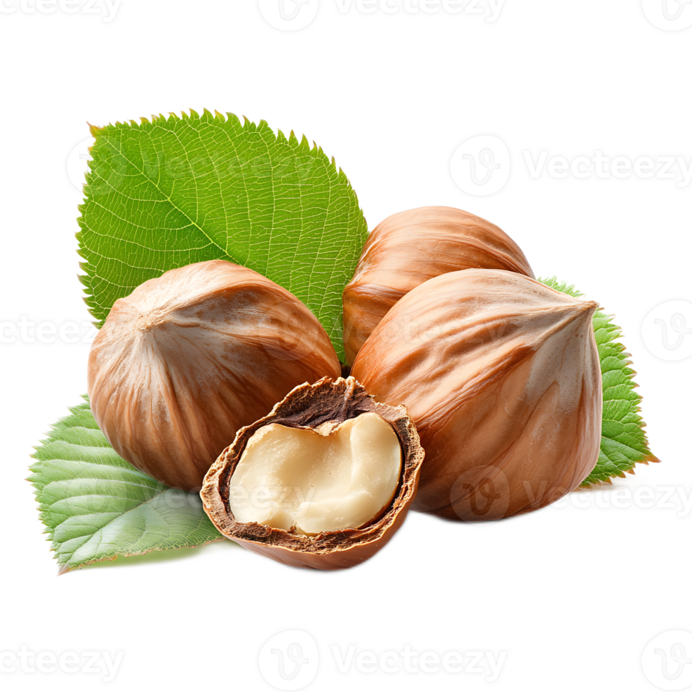 Freshly Harvested Hazelnuts with Leaves Showcasing Autumn s Bounty png