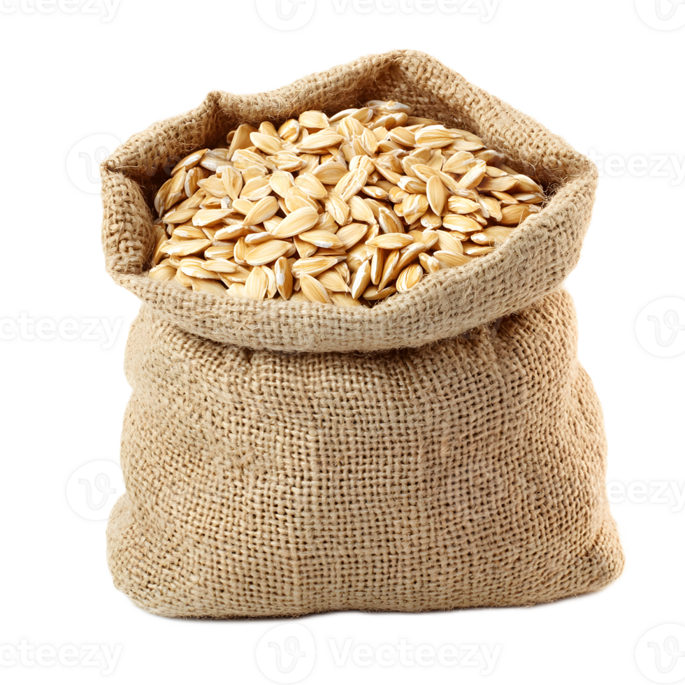 Heap of Unprocessed Oats Grains in Burlap Sack on White Background png