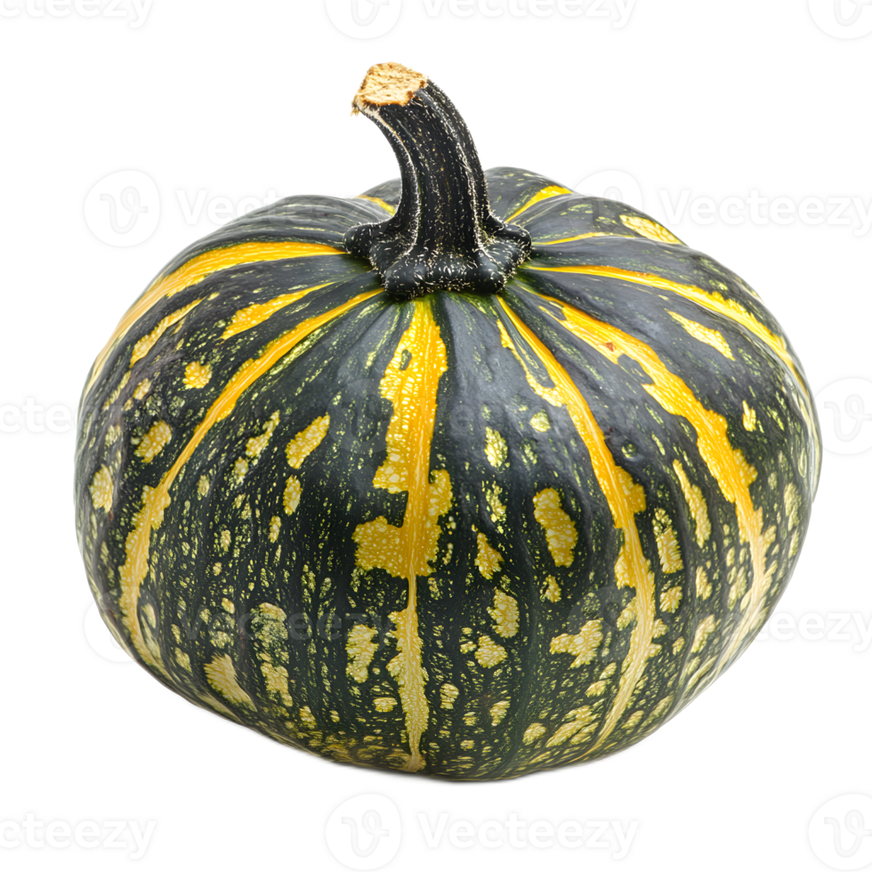 Ripe Autumn Pumpkin with Distinctive Stem png