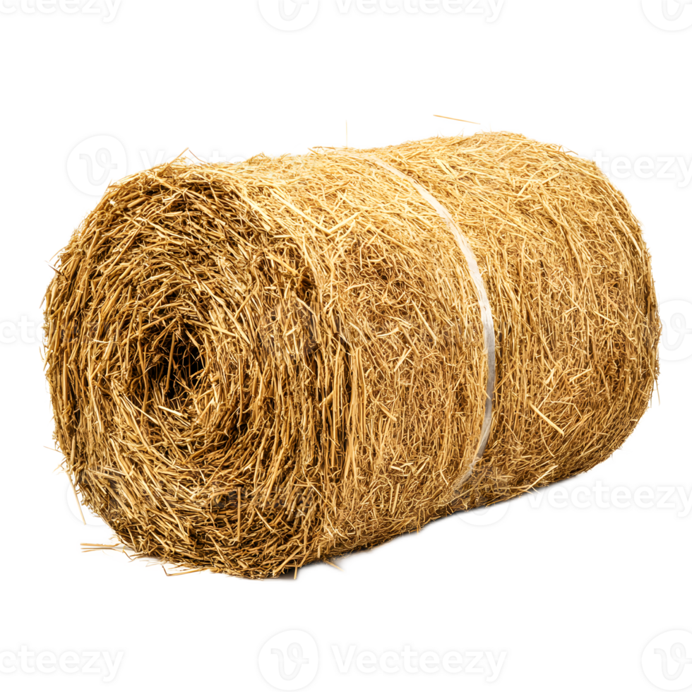 Large Golden Hay Bale Bundle Stacked in Agricultural Field png