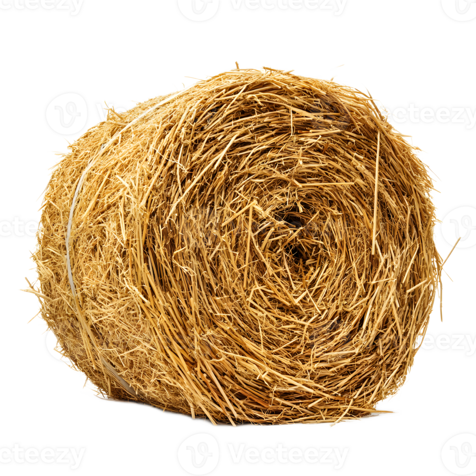 Circular Bale of Hay in a Rural Countryside Landscape png