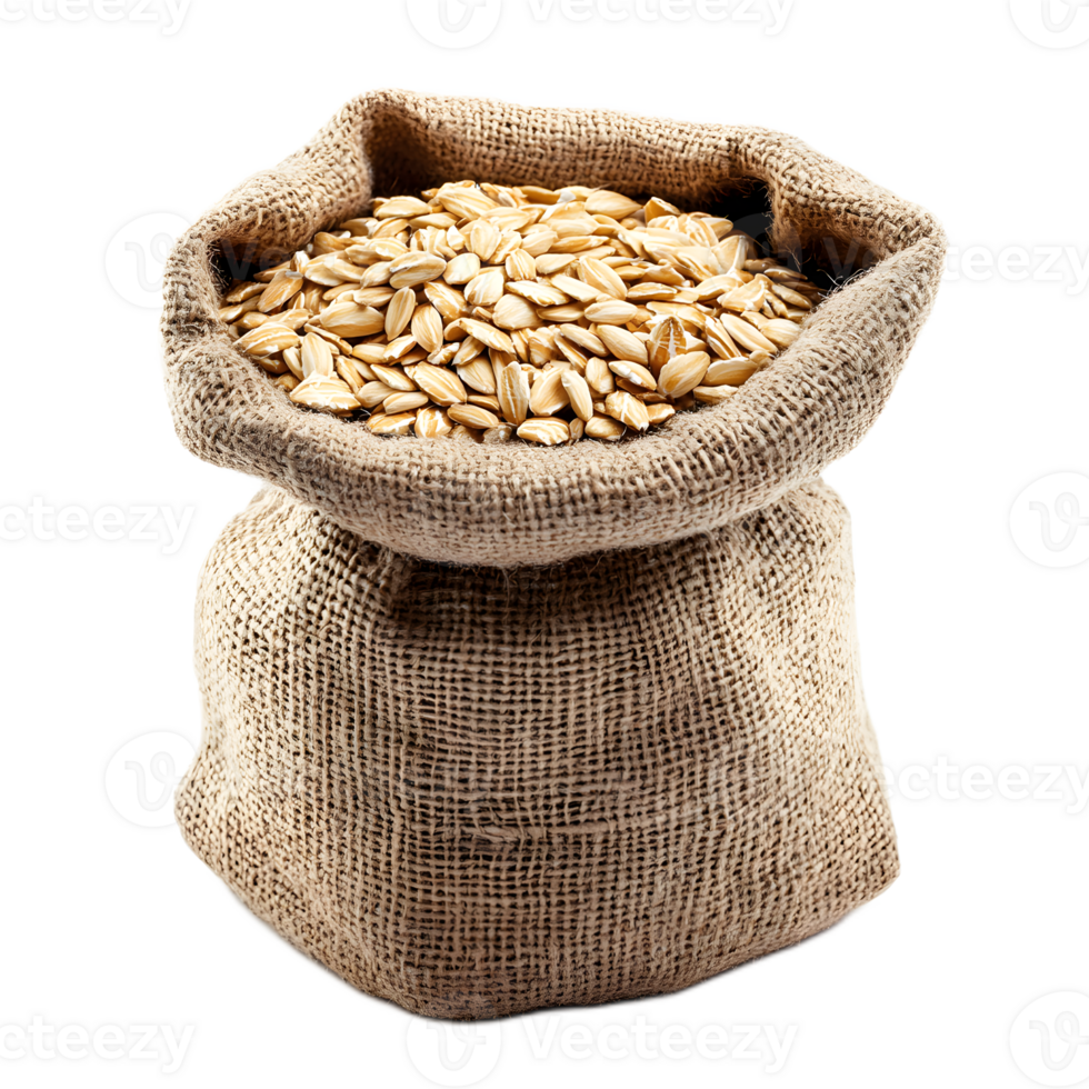 Abundant Oats Grains in Burlap Sack Against White Background png