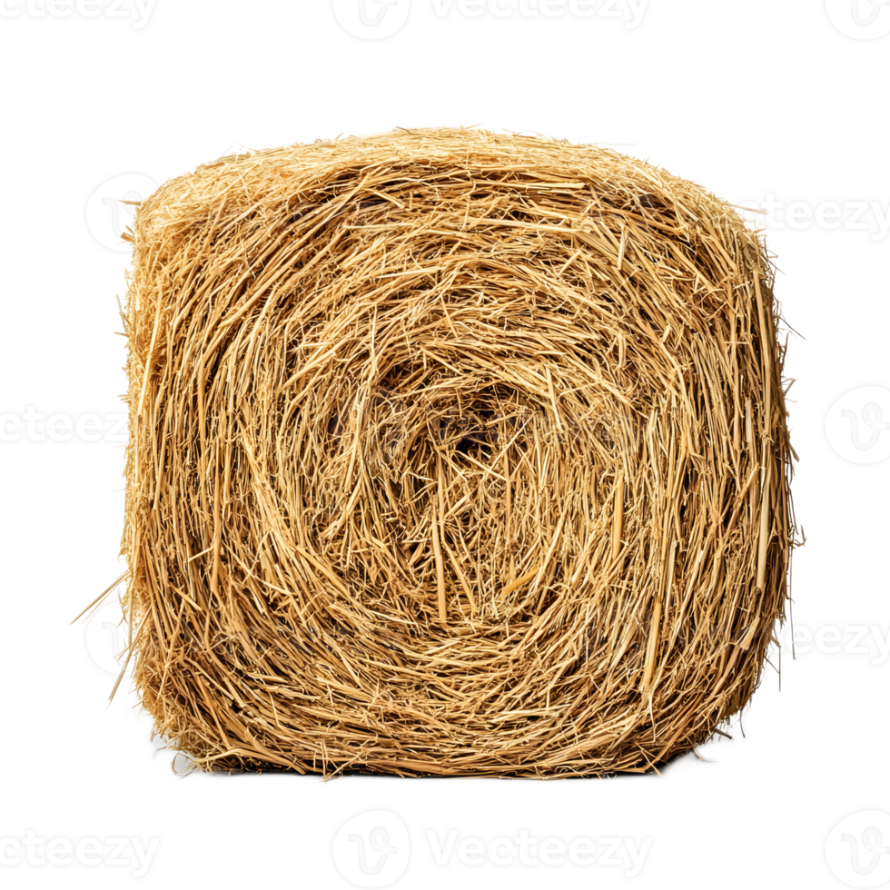 Closeup of a Neatly Stacked Hay Bale Bundle in an Autumn Farmland Landscape png