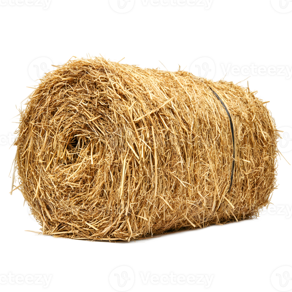 Cylindrical Hay Bale Bundle in Golden Harvest Field Landscape png