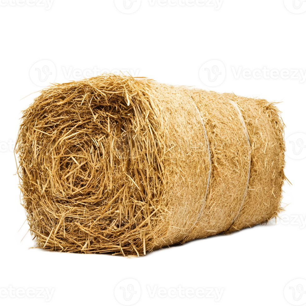 Cozy Hay Bale Bundle in Rustic Farm Landscape png