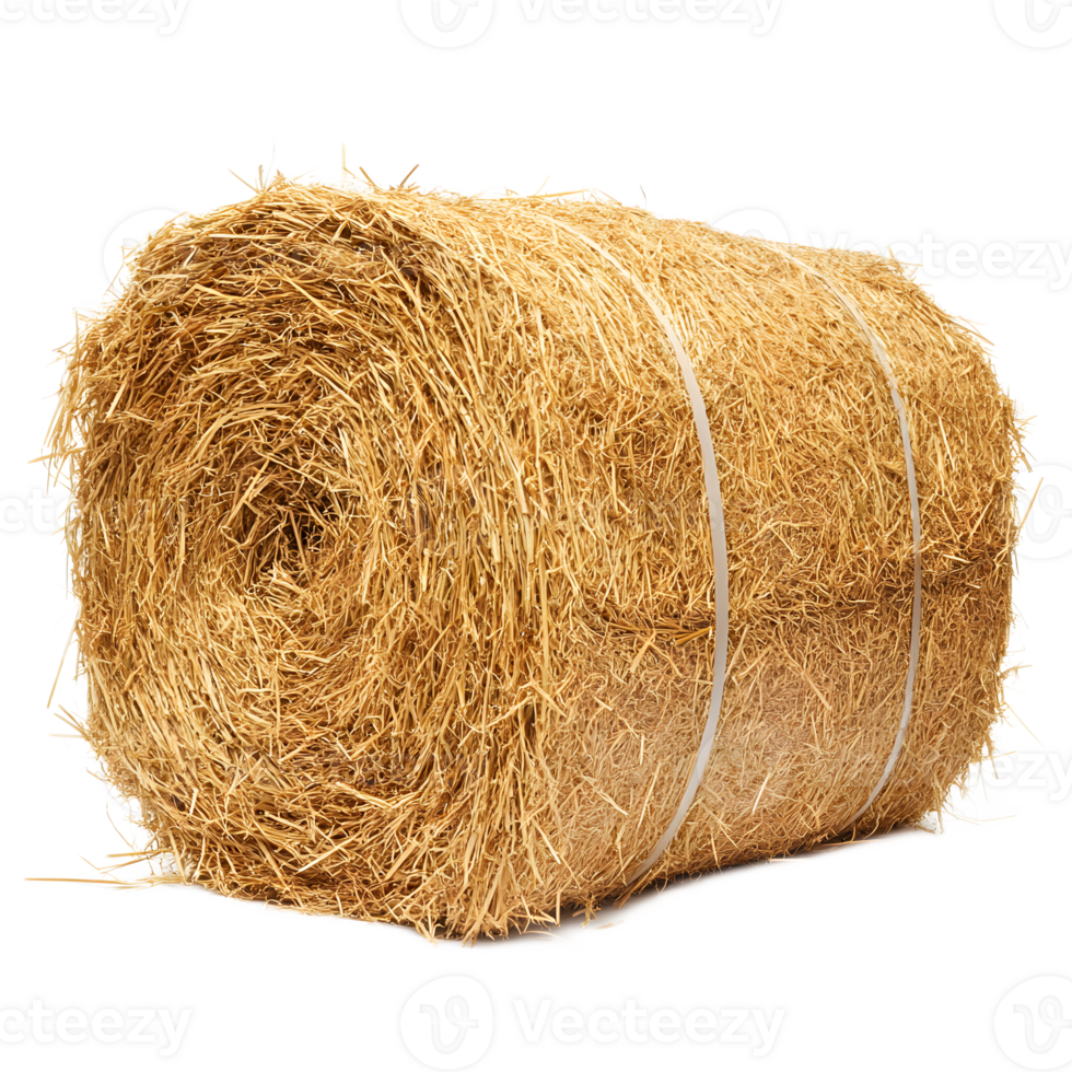 Cozy Golden Hay Bale Bundle in Pastoral Farm Field Landscape png