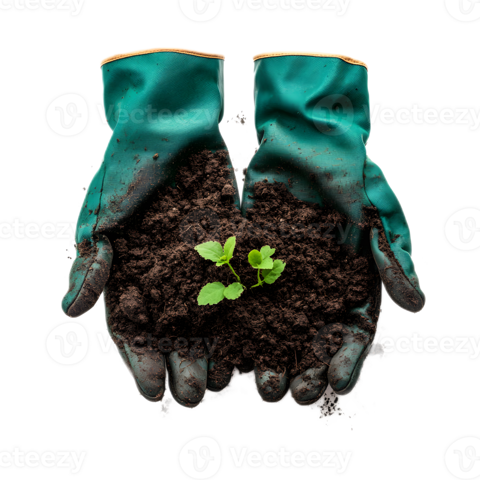 Gardening Gloved Hands Holding Soil with Sprouting Plant Seedling Concept of Nature Cultivation and Sustainable Growth png