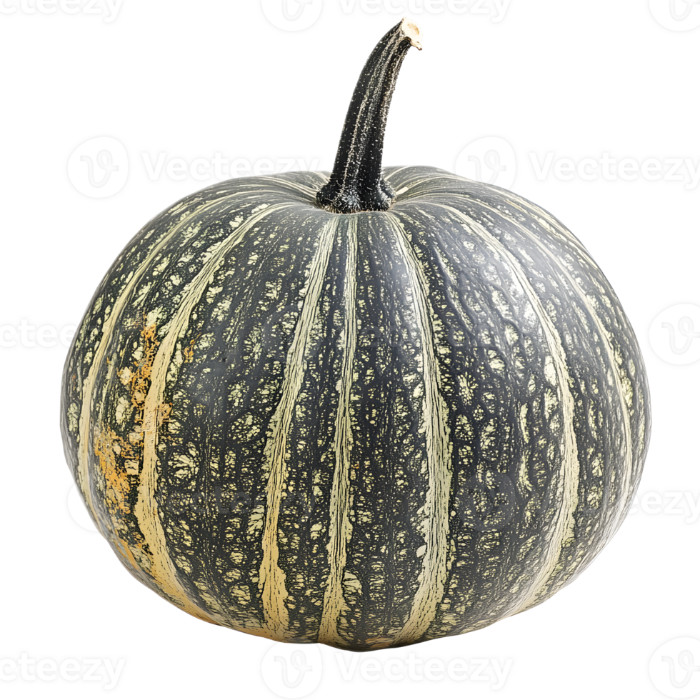 Ripe Striped Pumpkin with Textured Stem in Autumn Harvest Setting png