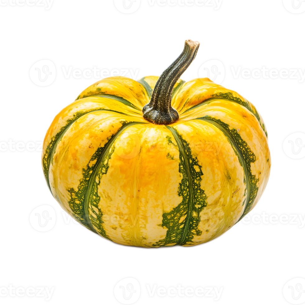 Ripe Pumpkin with Stem against White Background png