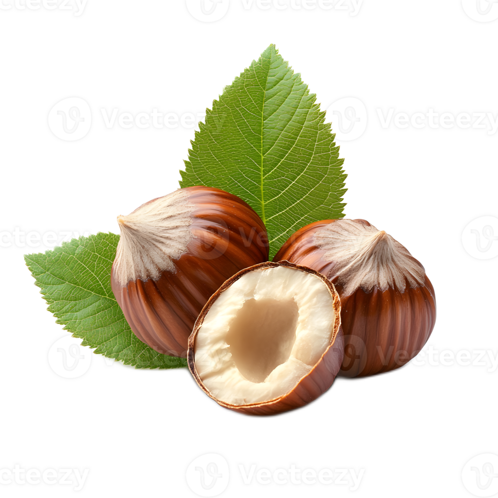 Freshly Harvested Hazelnuts with Attached Green Leaves on Wooden Surface png