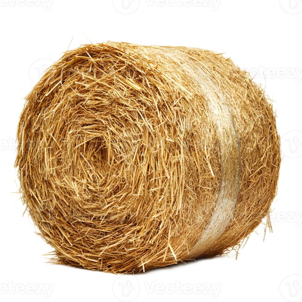 Coiled Hay Bale Bundle in Rural Farm Landscape png