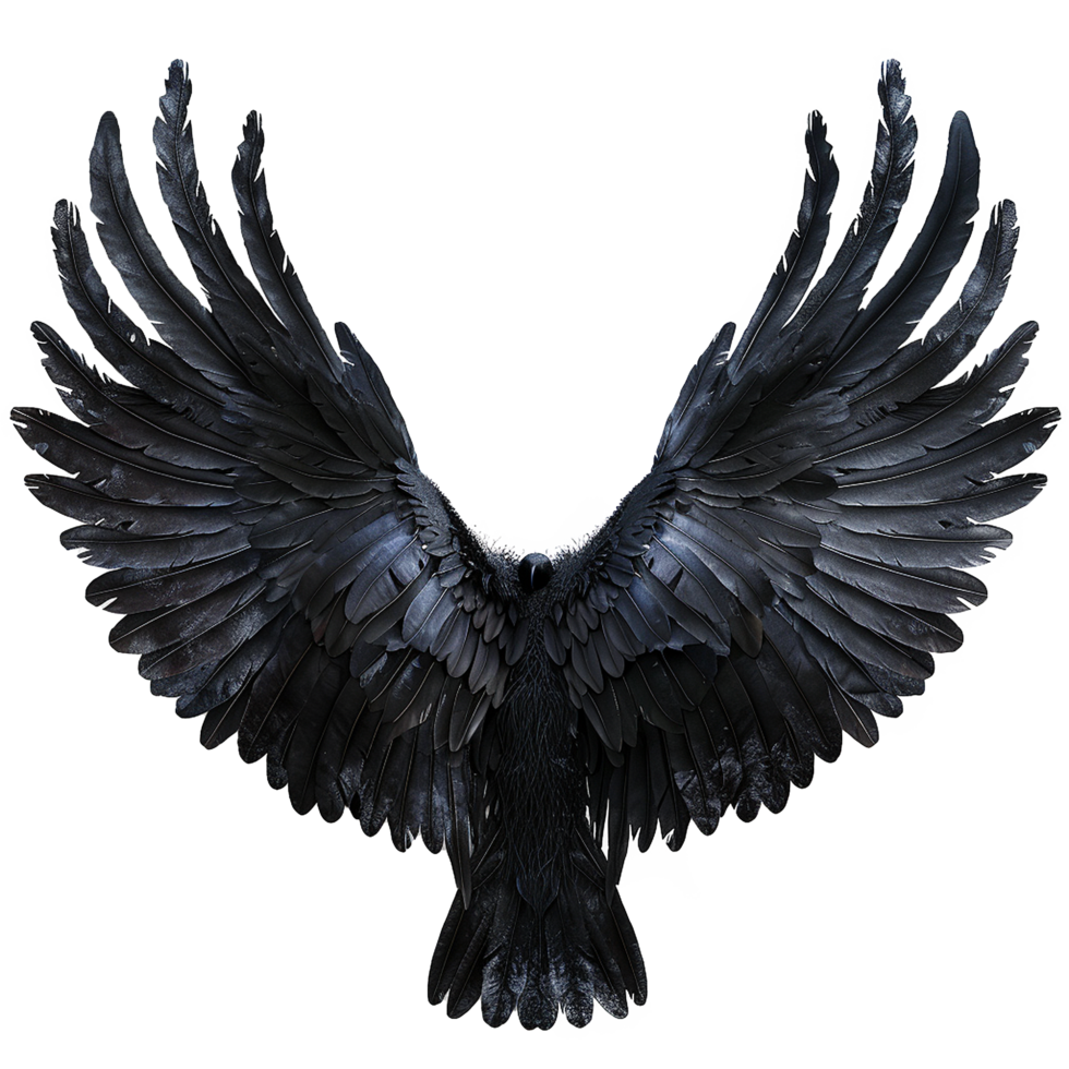 Majestic Black Raven with Outstretched Wings a Dramatic Display of Power and Mystery png