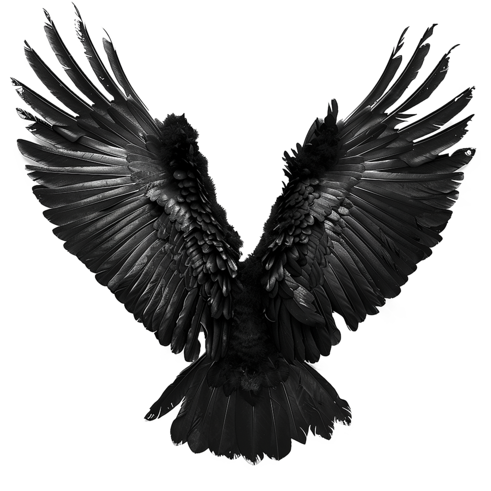 Majestic Black Raven Wings Spread Wide in Monochromatic Glory png