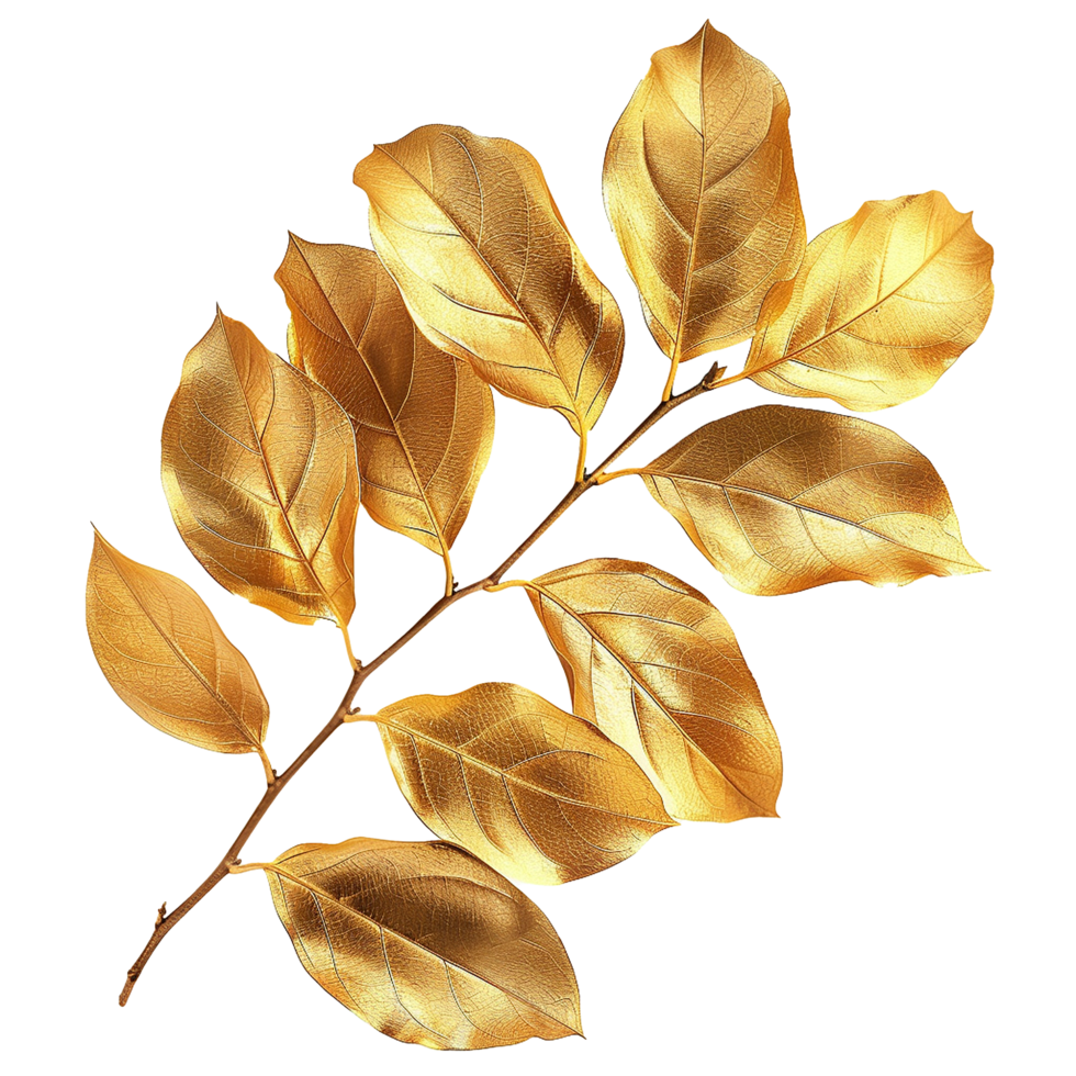 Golden Leaves Branch Artwork Elegant Nature Decor Luxury Botanical Illustration png