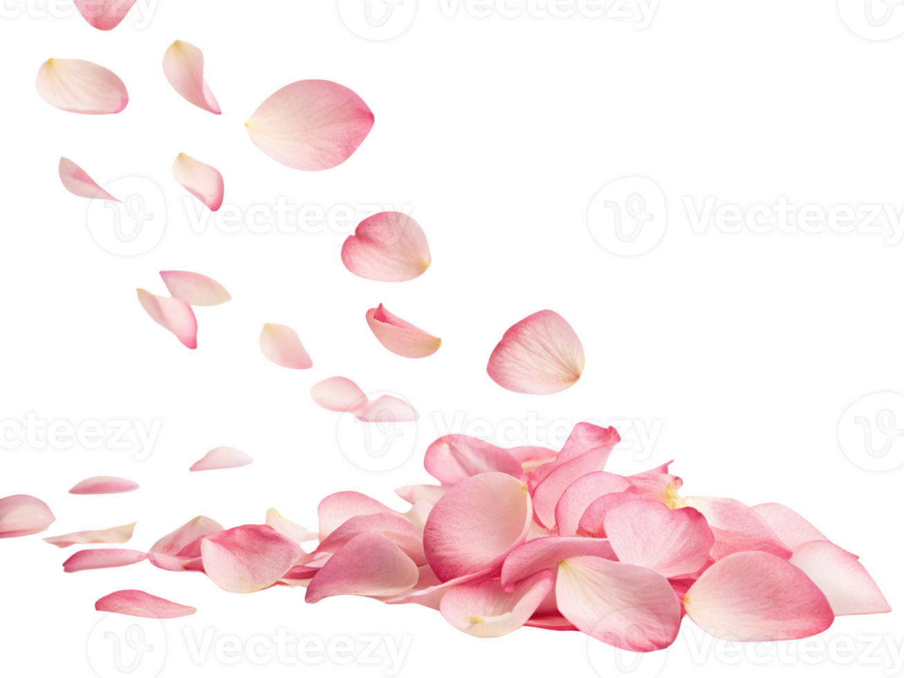 Delicate pink rose petals falling gracefully, creating romantic atmosphere png