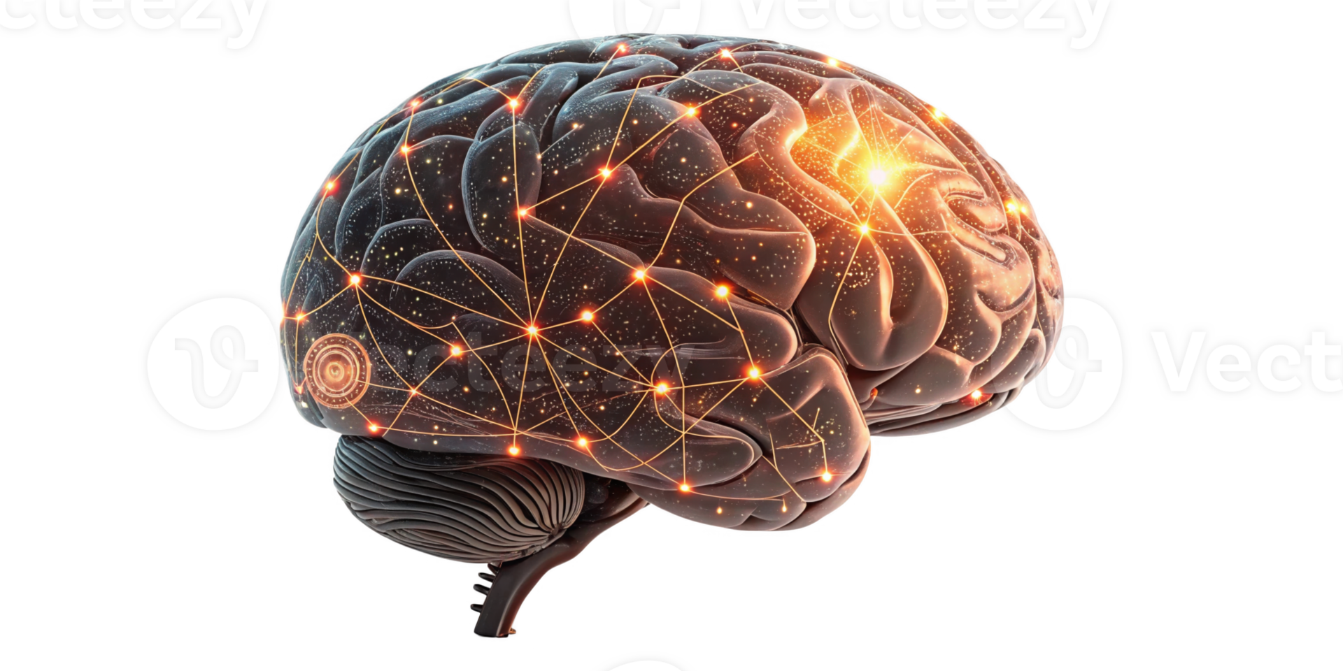 digital representation of brain with glowing neural connections, symbolizing intelligence and creativity png