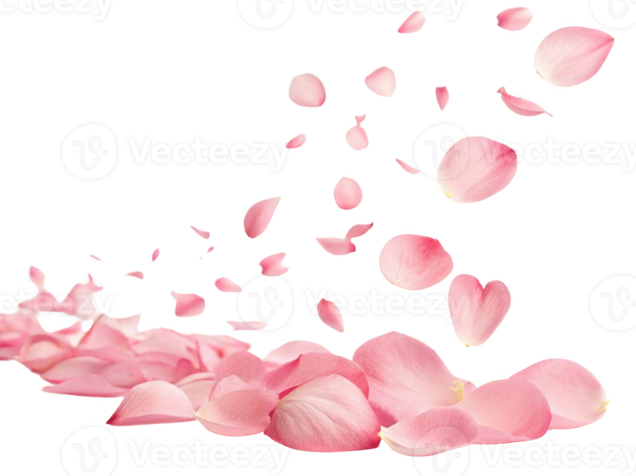 Delicate pink rose petals scattered gracefully, creating serene atmosphere png