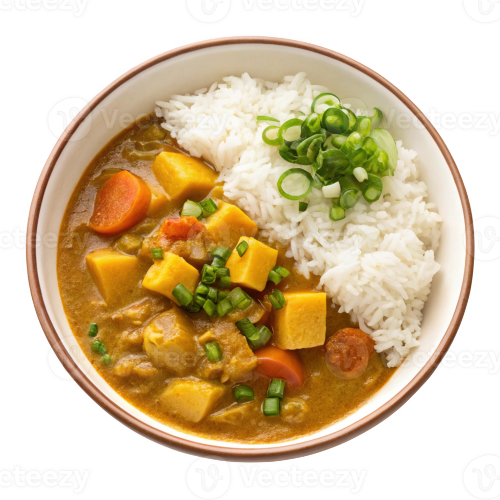 Delicious curry with vegetables and rice, garnished with green onions png