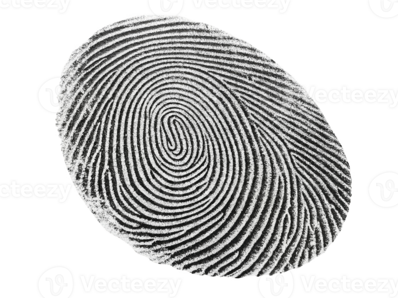 Fingerprint pattern with intricate lines and curves, symbolizing identity and security png