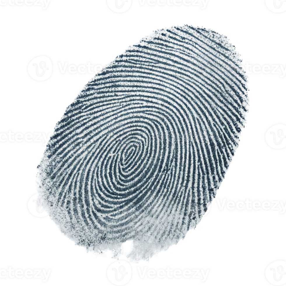 detailed fingerprint with distinct ridges and patterns, showcasing unique identity features png