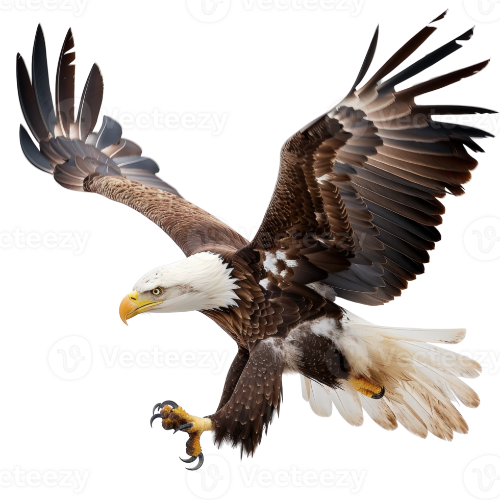 Majestic Bald Eagle Soaring Elegantly with Outstretched Wings Against a Clear Blue Sky png