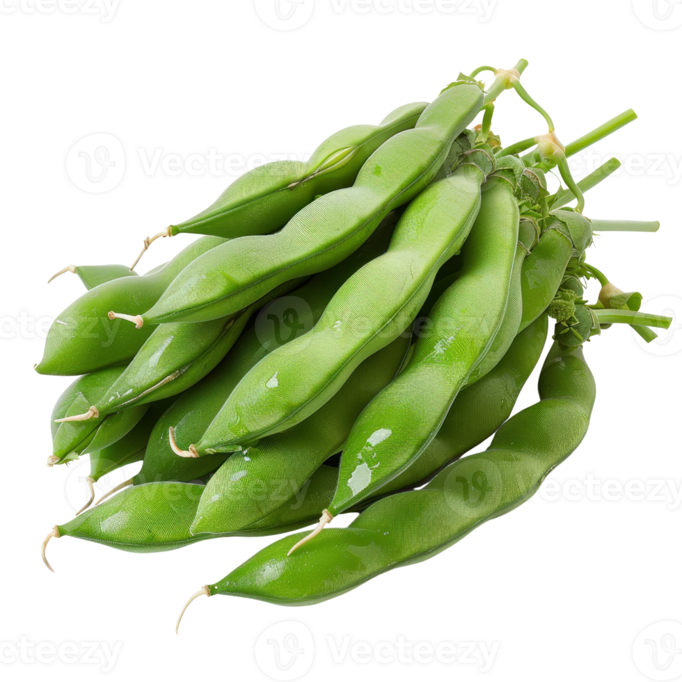 Fresh Green Beans on White Background, Raw Organic Produce, Healthy Cooking Ingredient, Farm to Table Concept png