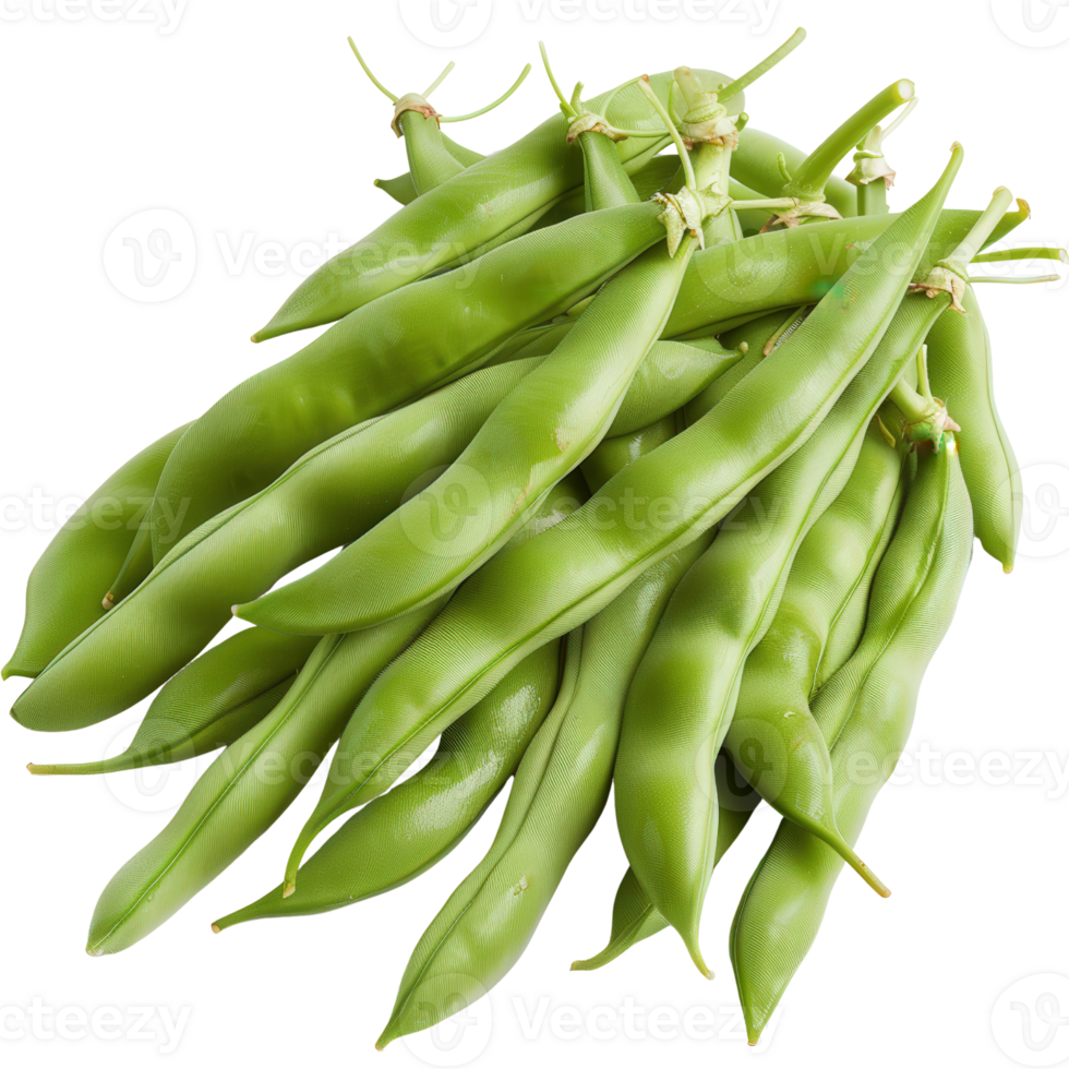 Fresh Green String Beans Displayed on a White Background for Culinary and Nutritional Uses in Cooking and Recipes png