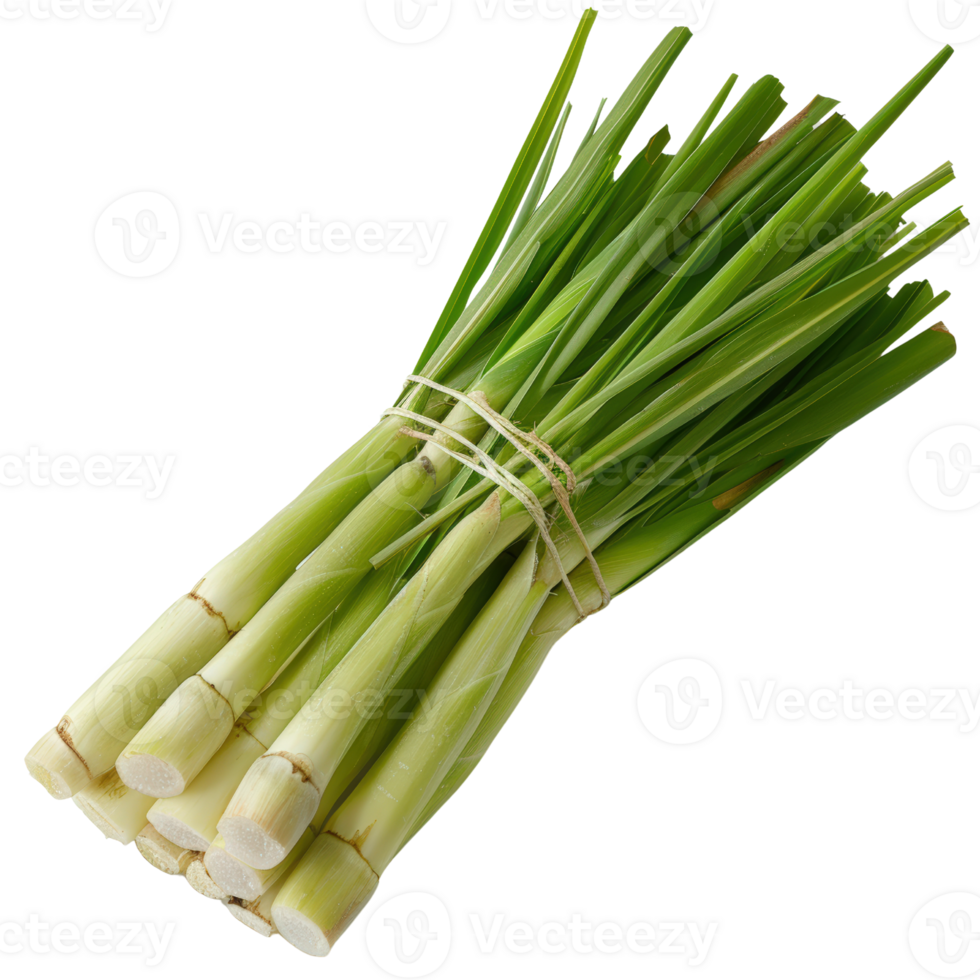 Fresh bunch of vibrant green lemongrass stalks tied together, perfect for culinary and herbal uses in cooking and wellness png
