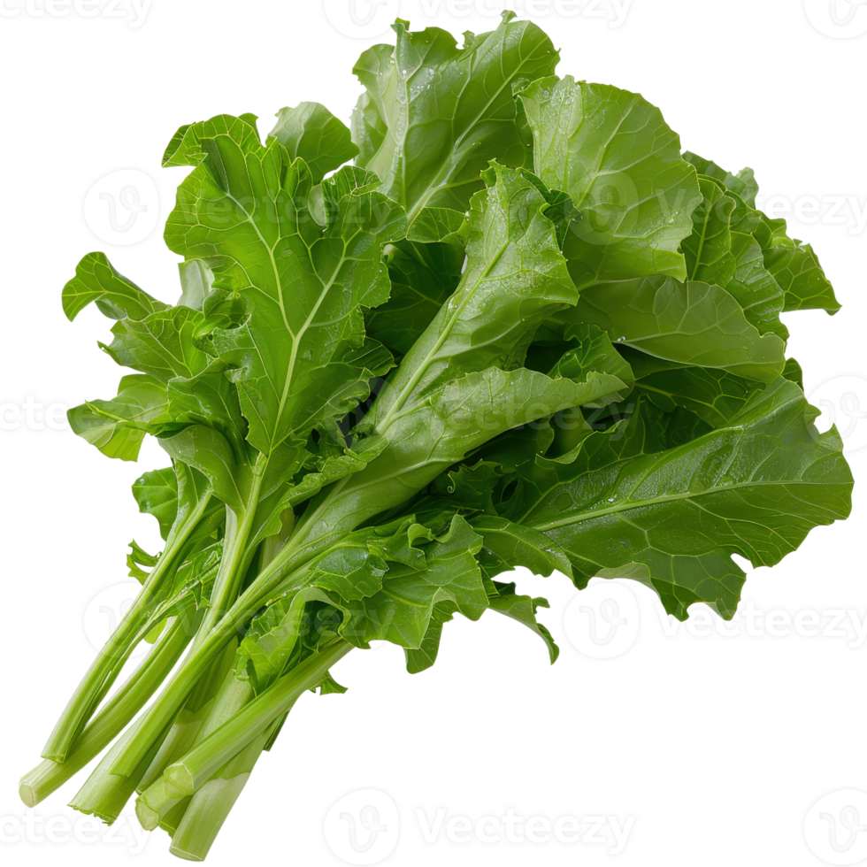 Fresh Green Leafy Vegetable with Vibrant Color and Crisp Texture Perfect for Healthy Meals and Salads png