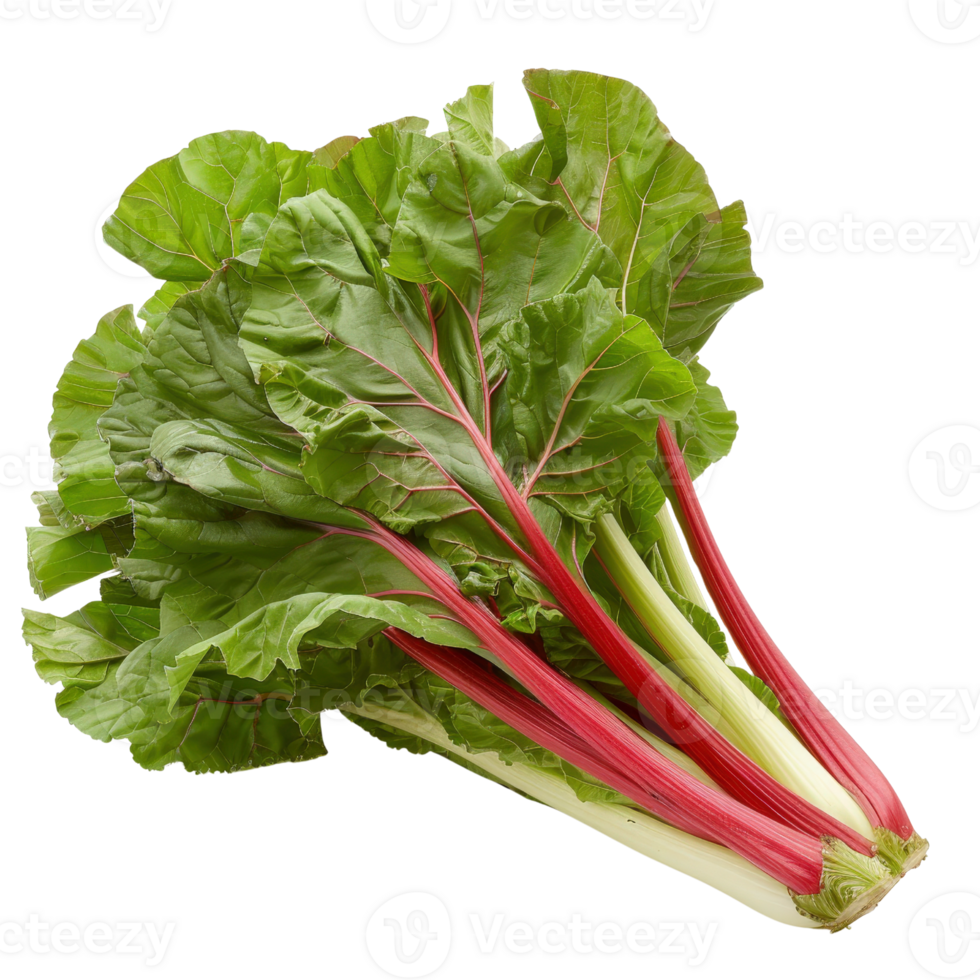 Fresh Organic Rhubarb with Bright Red Stalks and Green Leaves for Culinary Use and Gardening Ideas png