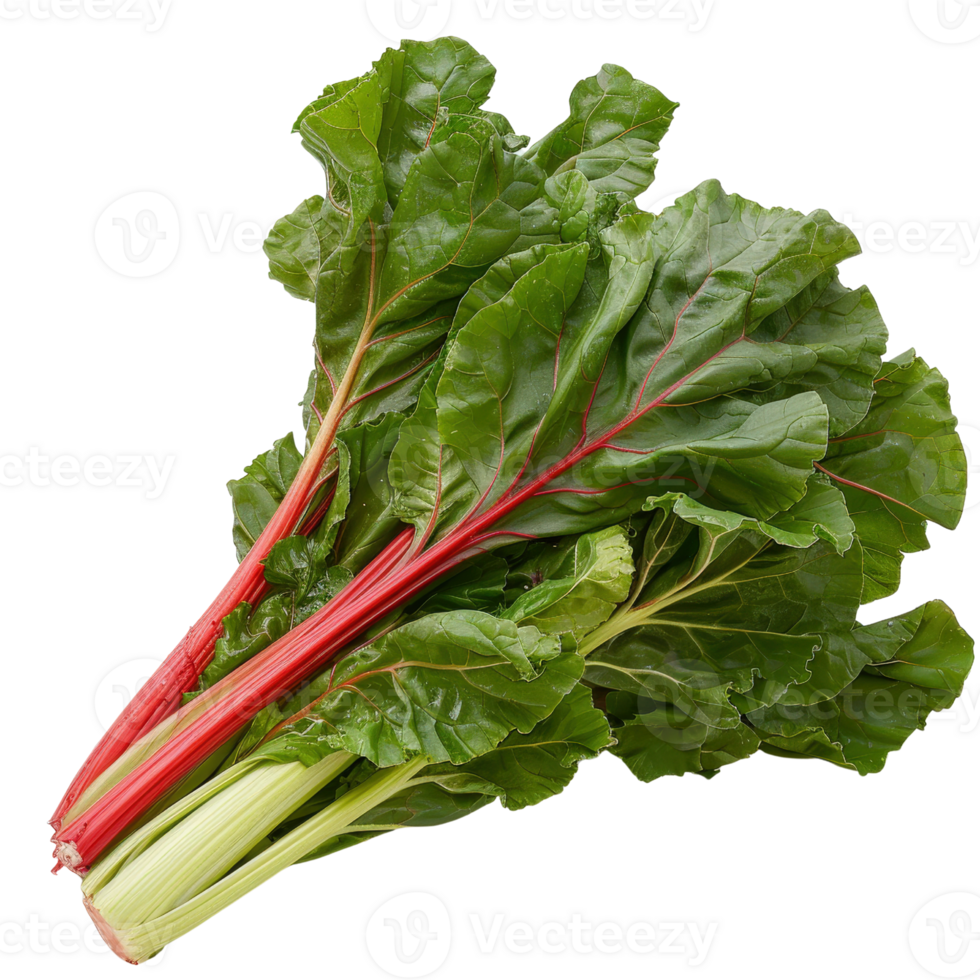 Fresh Swiss Chard Leaves with Vibrant Stems on a White Background for Healthy Cooking and Nutrition Concepts png