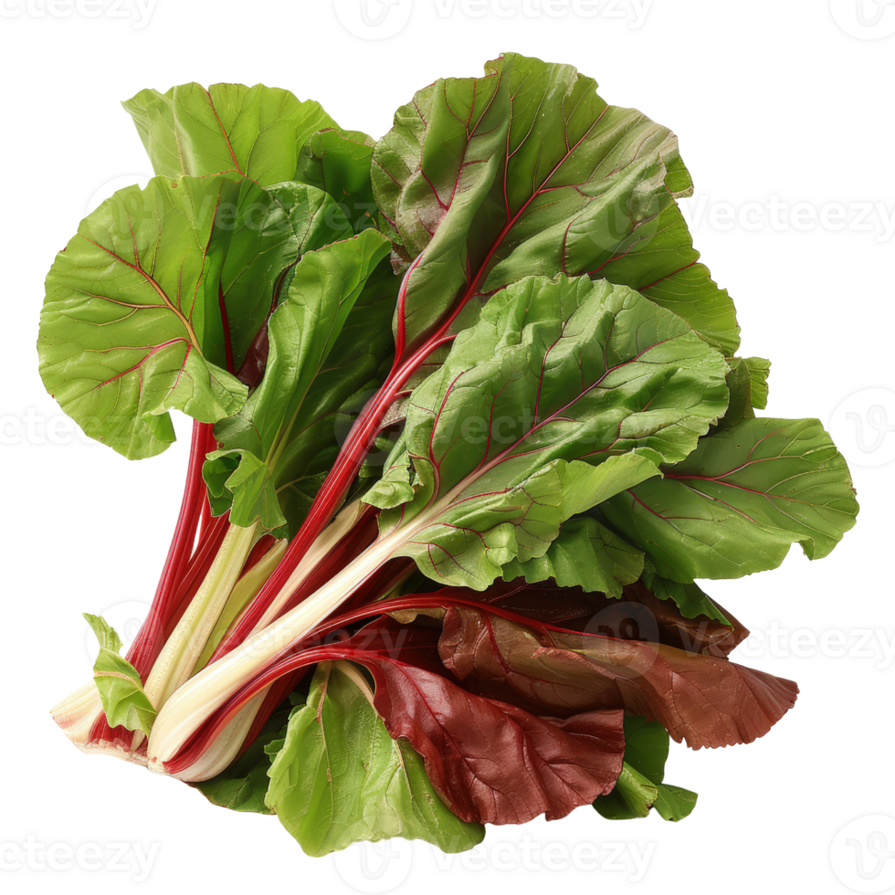 Fresh Swiss Chard Bunch with Vibrant Green and Red Leaves Isolated on a White Background for Healthy Cooking png