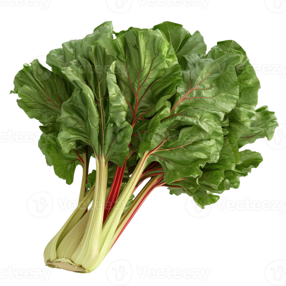 Fresh Organic Swiss Chard with Vibrant Leaves and Colorful Stems, Perfect for Healthy Recipes and Culinary Creations png