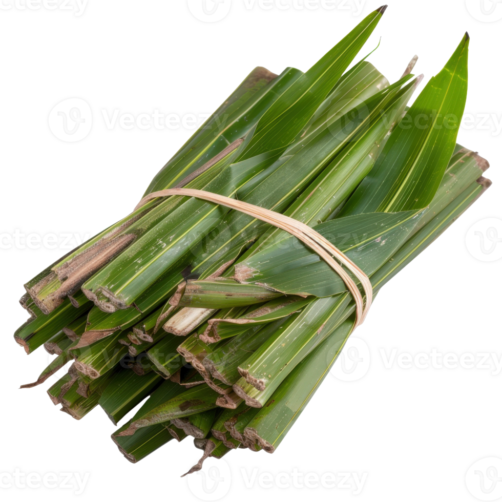 Freshly harvested green pandan leaves tied with natural twine, ready for cooking and aromatic uses in culinary practices png
