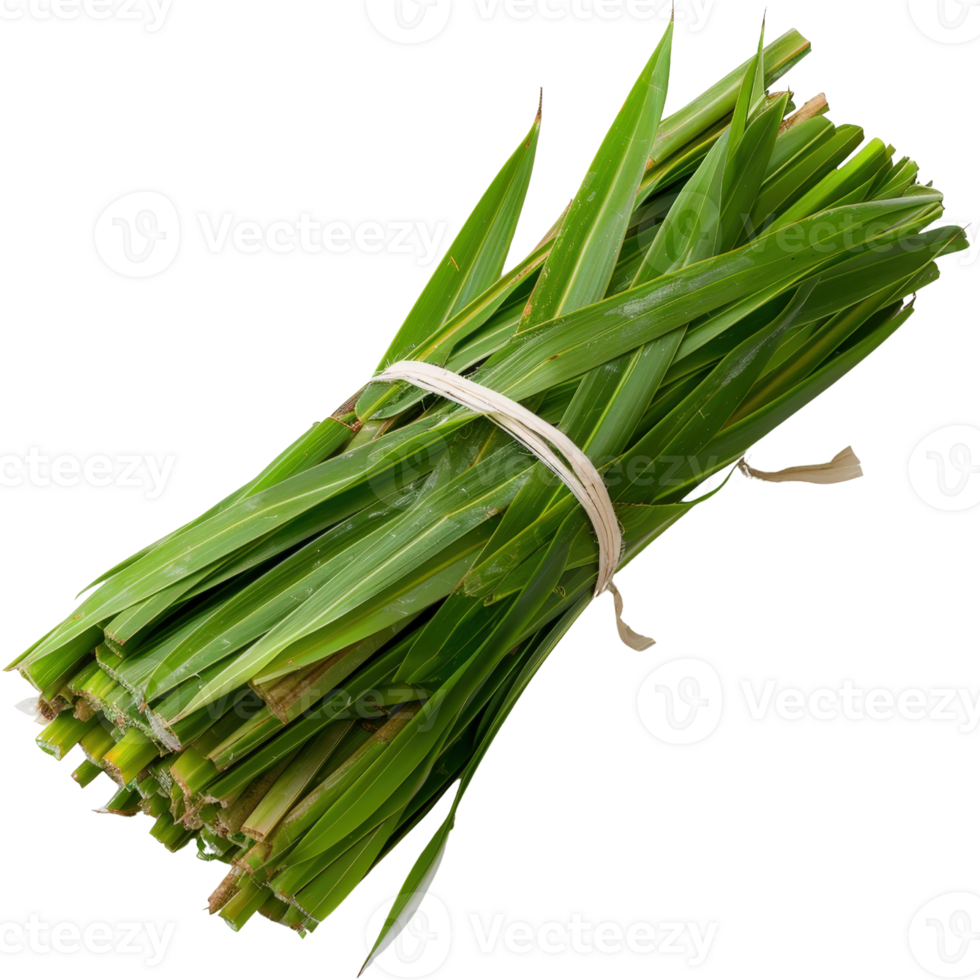 Freshly Harvested Green Grass Bundles Tied with String for Natural Decoration and Gardening Uses png