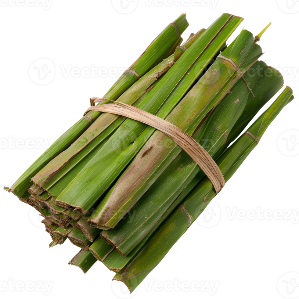 Freshly Bundled Green Leaves for Culinary Use and Natural Decoration in Rustic or Organic Art Projects png