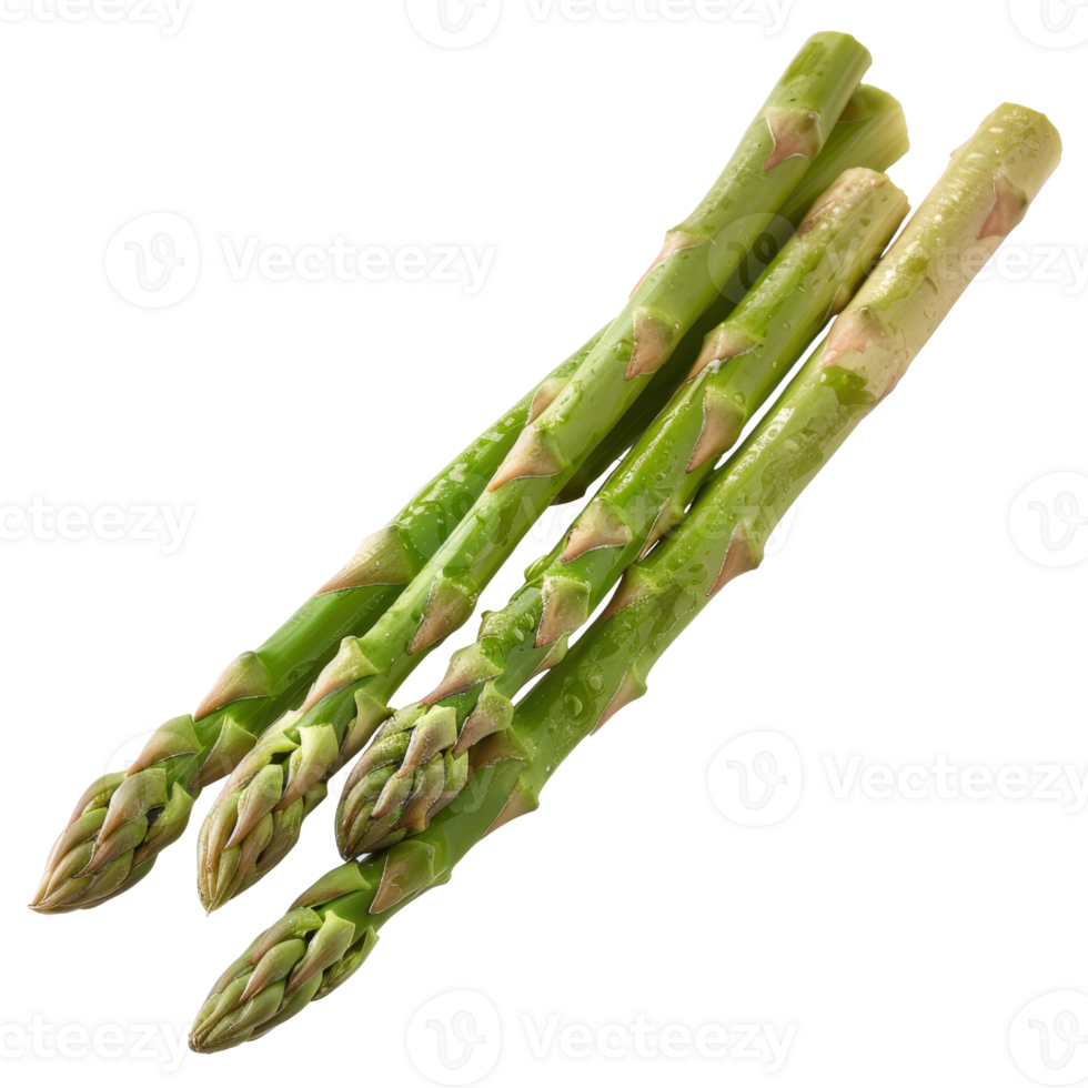 Fresh Green Asparagus Stalks with Water Drops on White Background for Culinary and Healthy Eating Concepts png